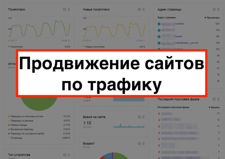 Продвижение сайта по трафику
