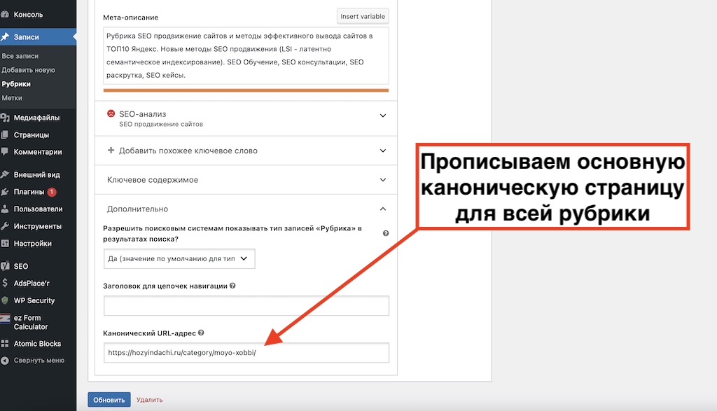 Как прописать атрибут canonical и удалить одинаковые заголовки и описания страниц