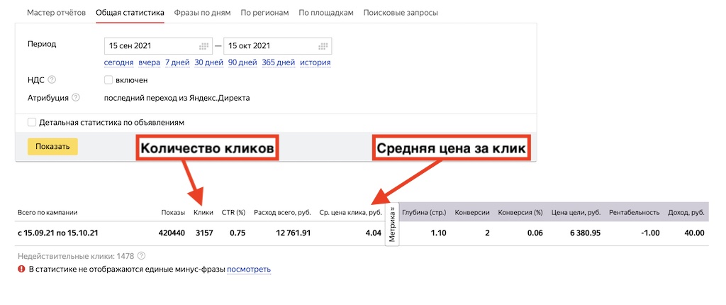 общая статистика рекламной компании за 30 дней