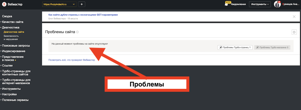 Яндекс Вебмастер проинформировал, что проблем на сайте нет