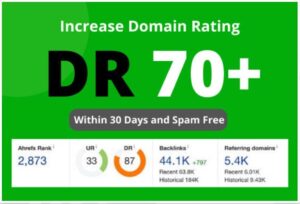 Что такое рейтинг домена или DR (Domain Rating)