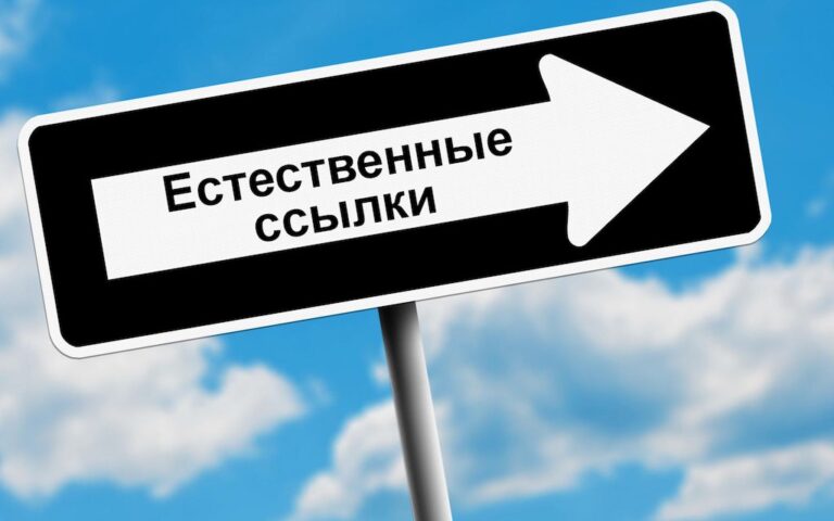 Продвижение естественными ссылками