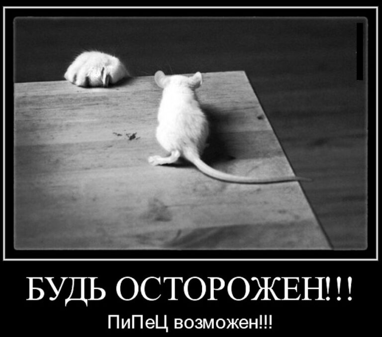 Опасность совместного использования Яндекс Директ и SEO продвижения