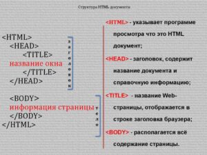 Элементы страницы html — значимые элементы сайта