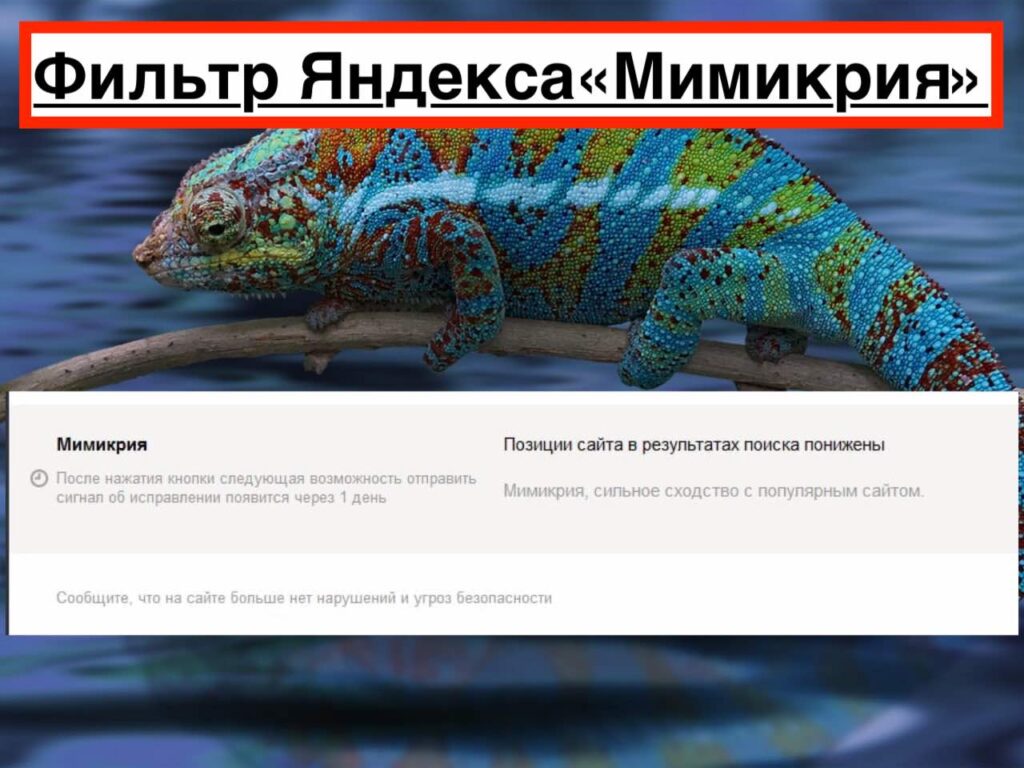 Фильтр Яндекс «Мимикрия»