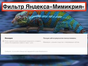 Новый фильтр Яндекс «Мимикрия»