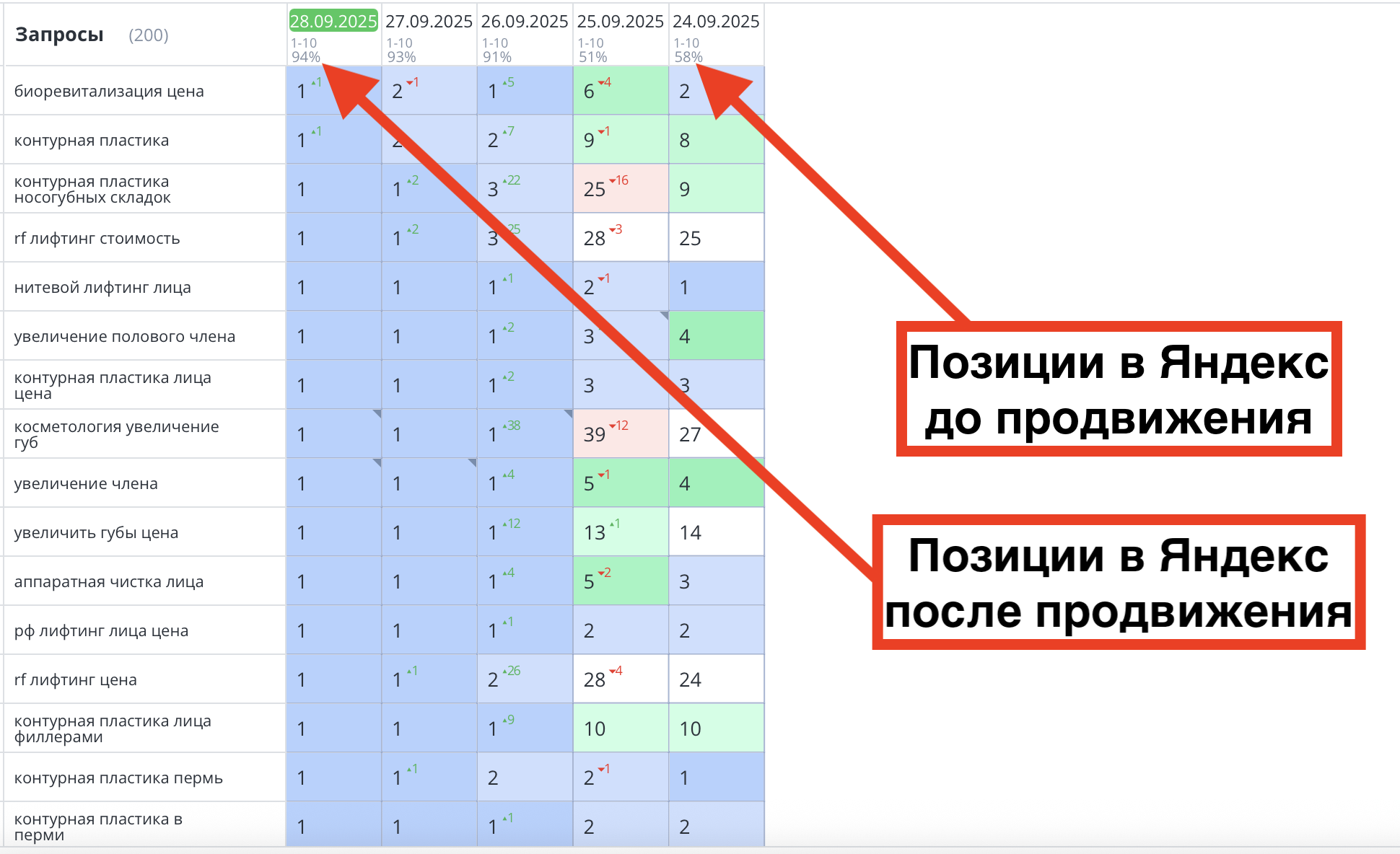 Позиции сайта косметологии до и после продвижения